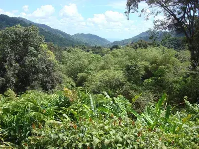 Asa Wright Nature Centre